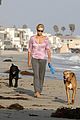 theron-canines