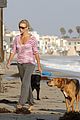 theron-canines