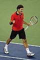 federer-shot
