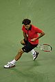 federer-shot