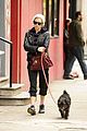 sienna-dog