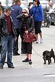 sienna-dog