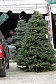 alba-christmas