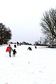 jude-sledding