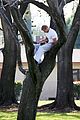 kellan-tree