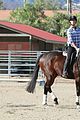 leona-horse
