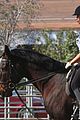 leona-horse