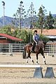 leona-horse