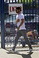 shia-baja