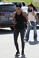 halle-lioness