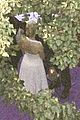paquin-wedding