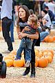 ambrosio-pumpkin