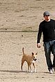 channing-dog