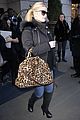 simpson-leopard