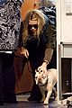olsen-lax