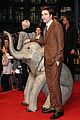 pattinson-elephants