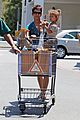 berry-grocery