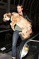 gosling-dog