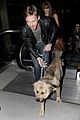 gosling-dog