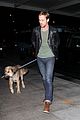 gosling-dog