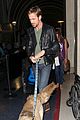 gosling-dog