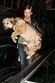 gosling-dog
