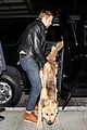 gosling-dog