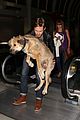 gosling-dog