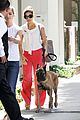 mendes-dog