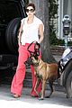 mendes-dog