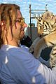 cooper-tiger