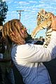 cooper-tiger