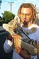 cooper-tiger