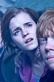 potter-stills