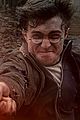 potter-stills