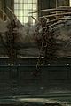potter-stills