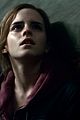 potter-stills