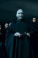potter-stills