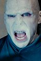 potter-stills
