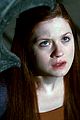 potter-stills