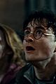 potter-stills