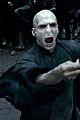 potter-stills