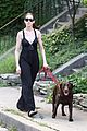 hathaway-dog
