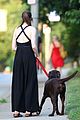 hathaway-dog
