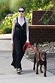 hathaway-dog