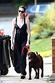 hathaway-dog