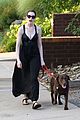 hathaway-dog