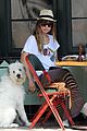 wilde-dog