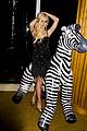 lohan-zebra