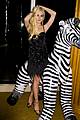 lohan-zebra